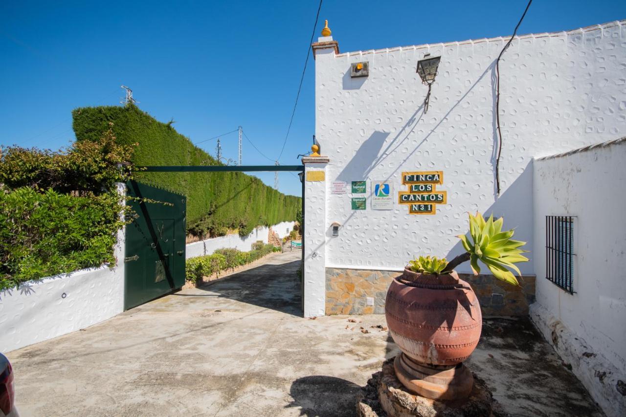 Tu Villa Rural Cortijo Los Cantos 7 Dormitorios Piscina Privada Alhaurín el Grande المظهر الخارجي الصورة
